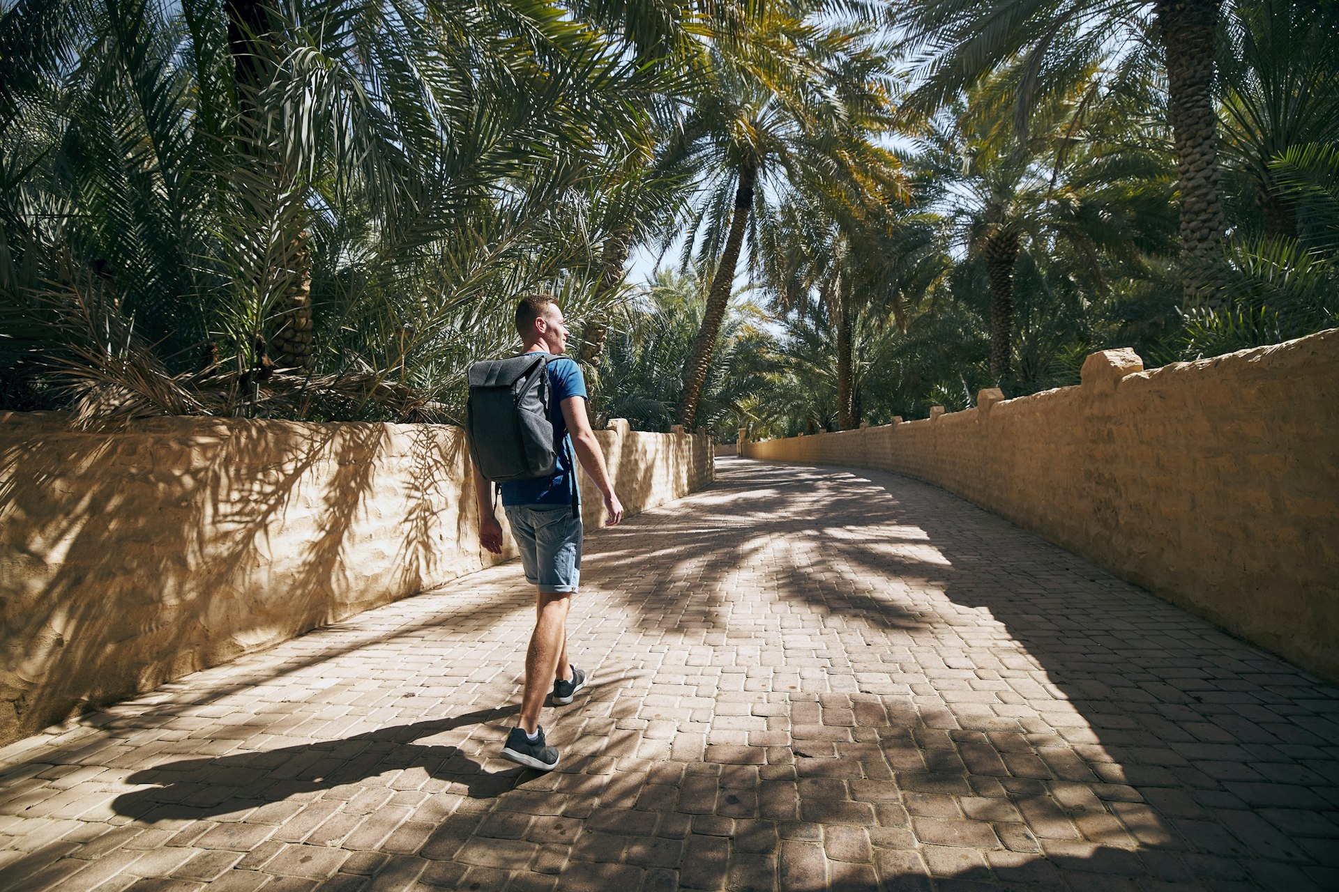 A solo man carrying a backpack walks down a paved path. There are dense areas of palm trees either side of the path